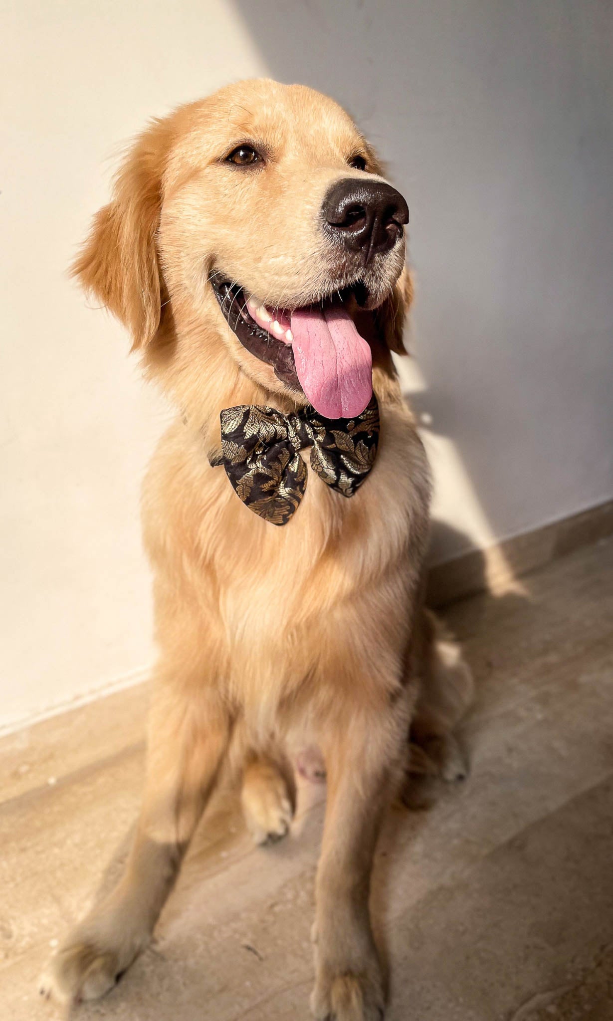 LuxeLiv Diwali Doggy Bowtie: Paw-sitively Adorable Desi Flair