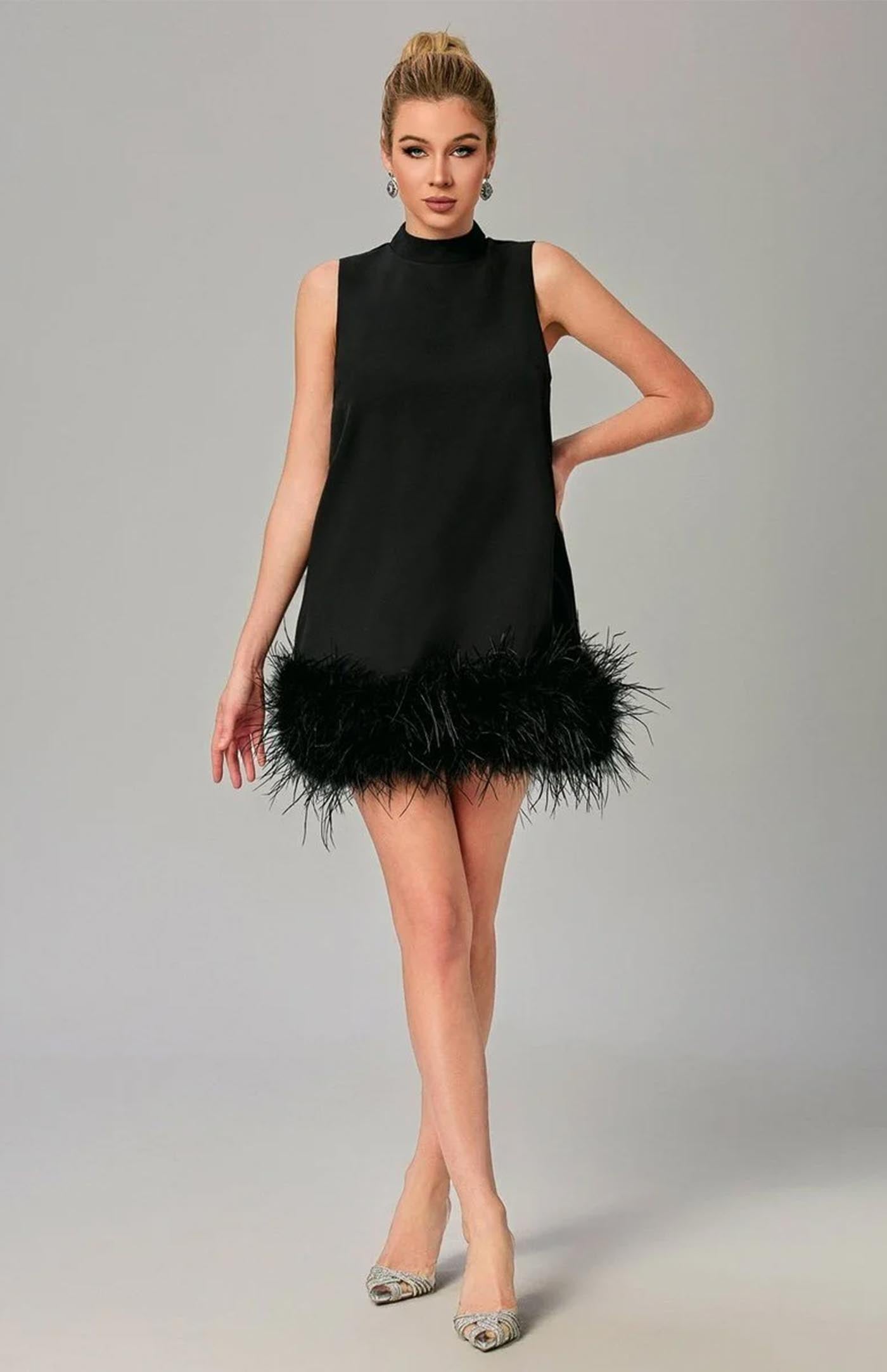 Black Swan Ballet | Little Black Dress with Feather