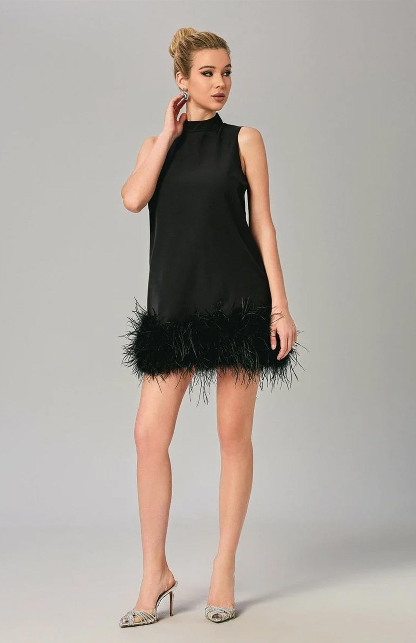 Black Swan Ballet | Little Black Dress with Feather