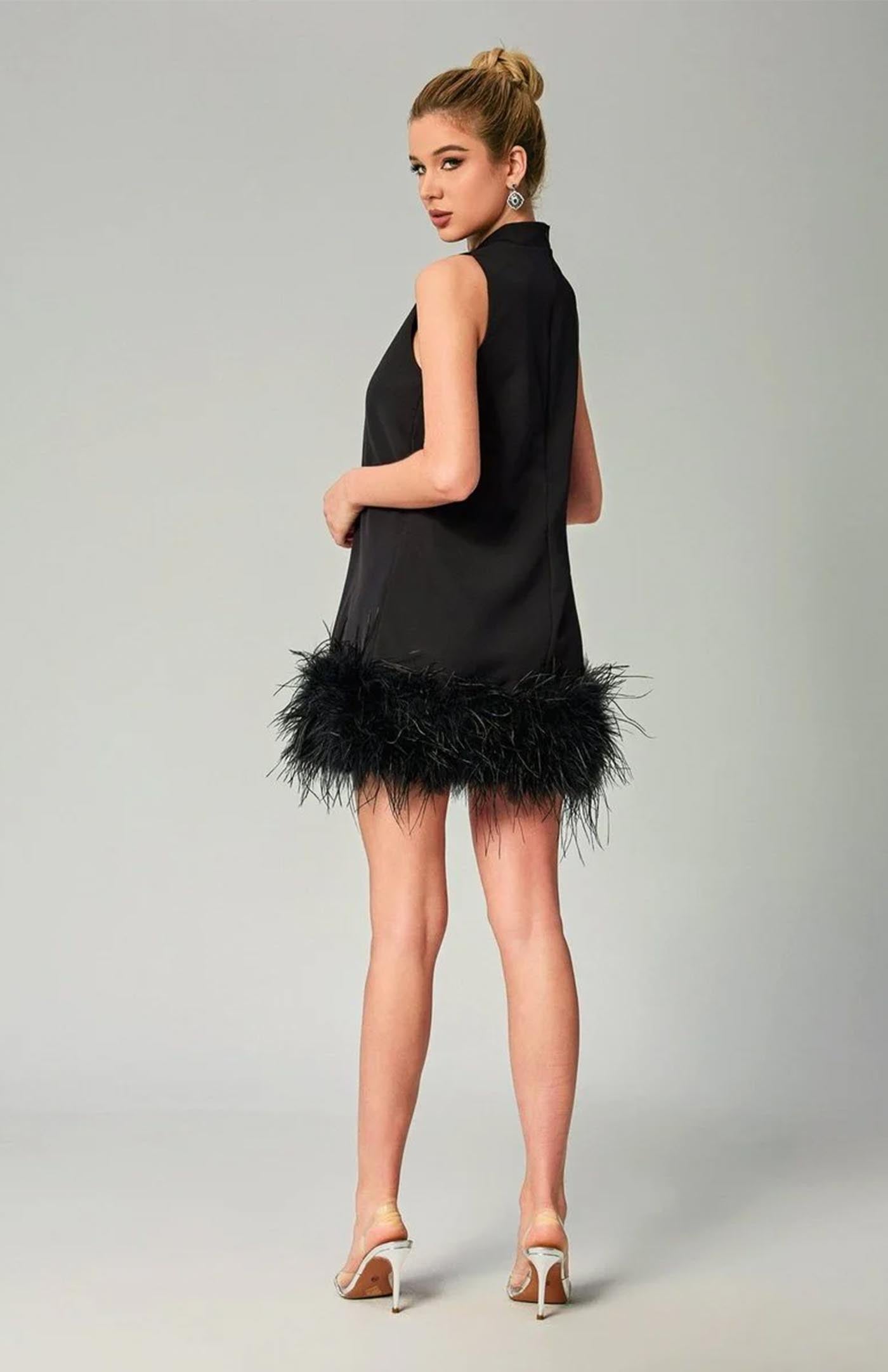 Black Swan Ballet | Little Black Dress with Feather