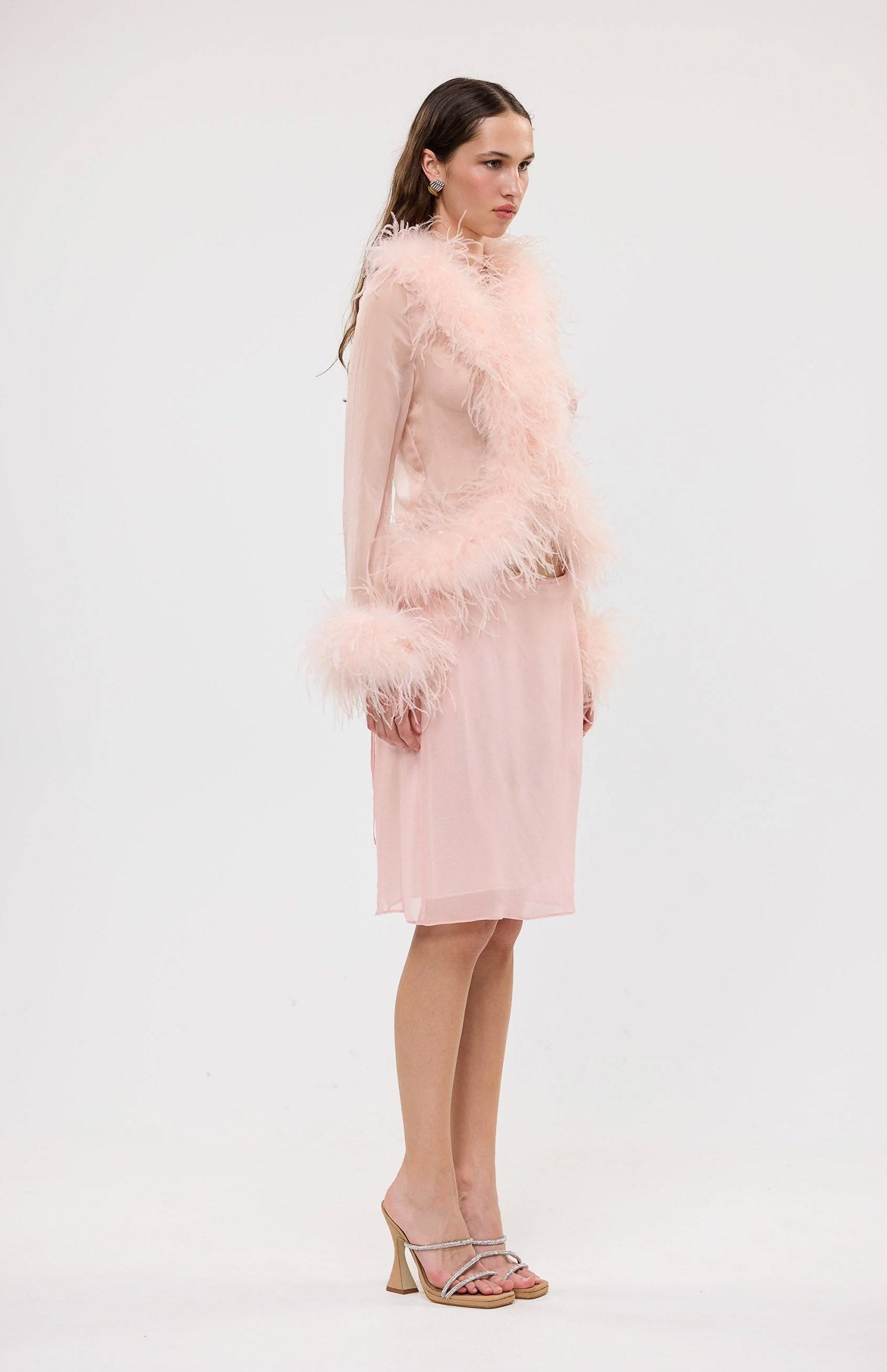The Gaga Sheer Feather Blush Blouse | Ostrich Feather Top