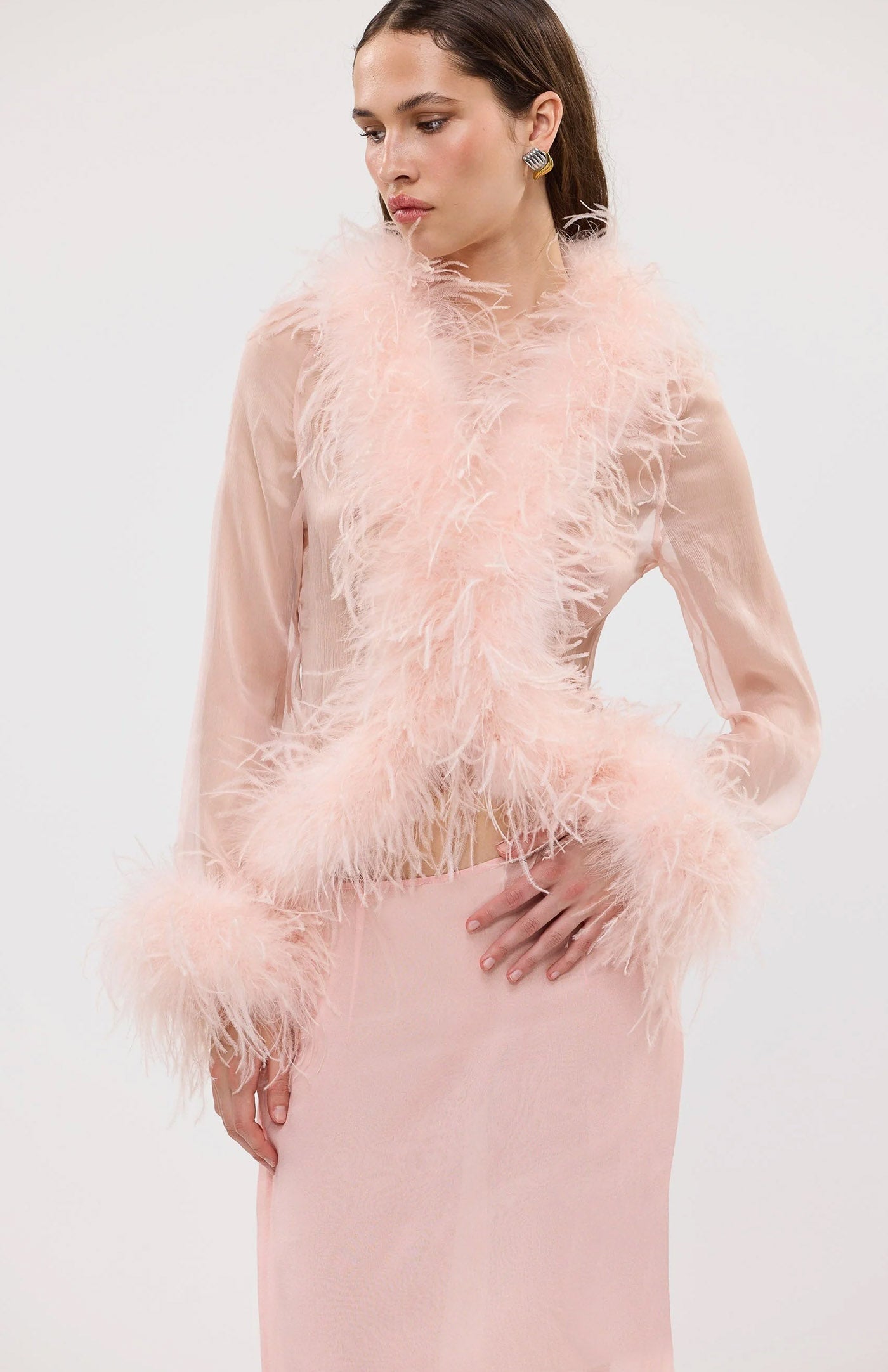 The Gaga Sheer Feather Blush Blouse | Ostrich Feather Top