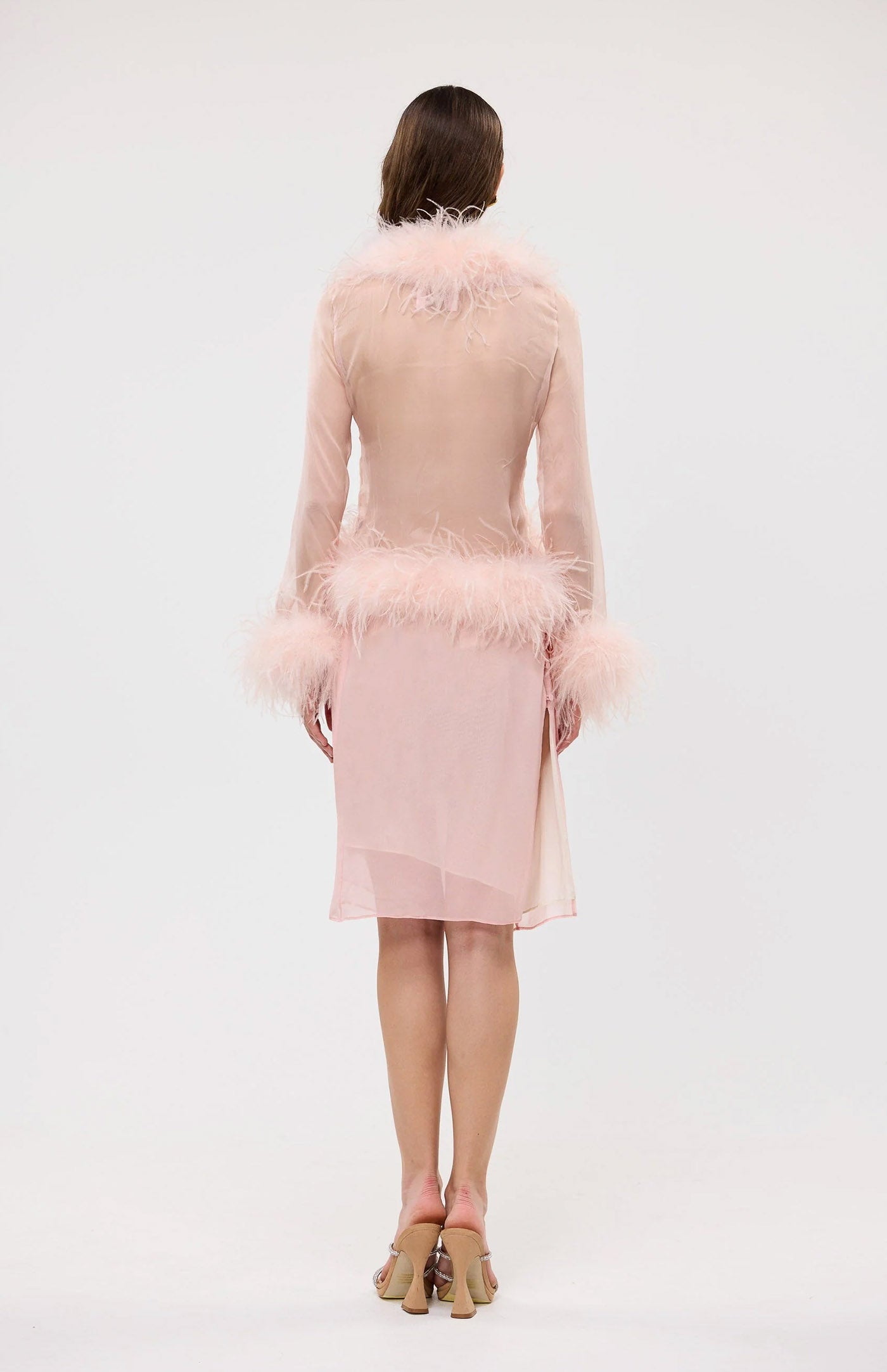 The Gaga Sheer Feather Blush Blouse | Ostrich Feather Top