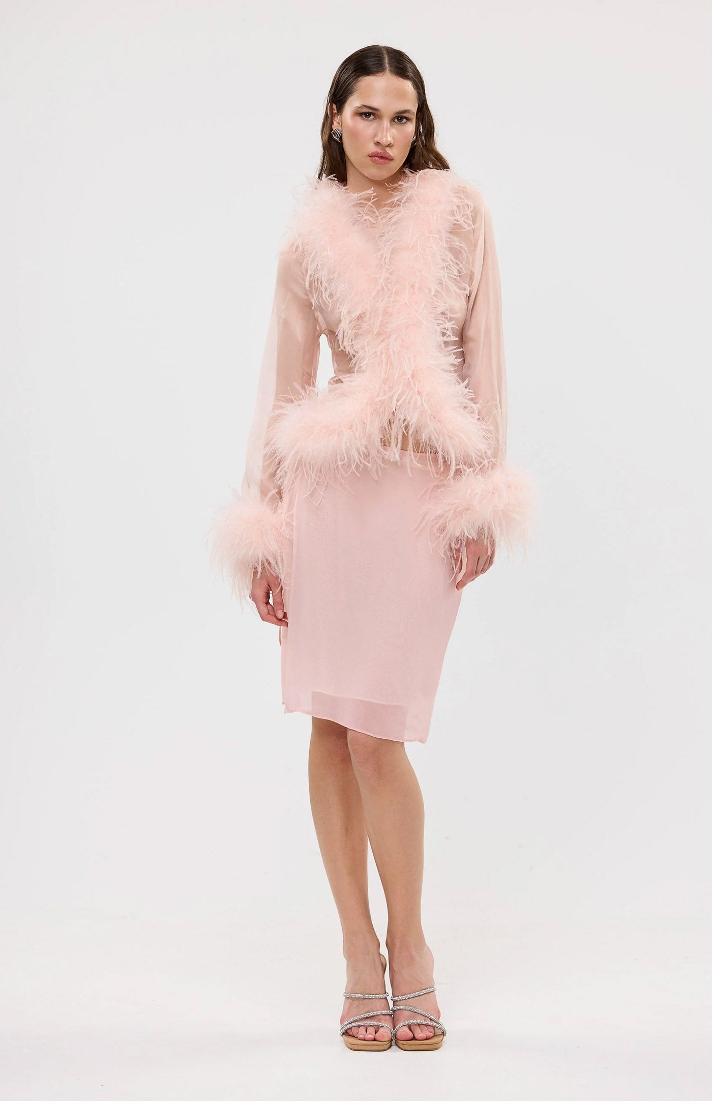 The Gaga Sheer Feather Blush Blouse | Ostrich Feather Top
